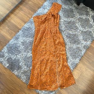 Animal Print Dress